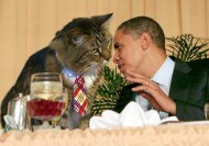1-cat-obama-meet-1389760444537-copia