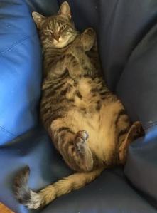 4d4011a1-adbb-4d04-a899-278a52c19f3c